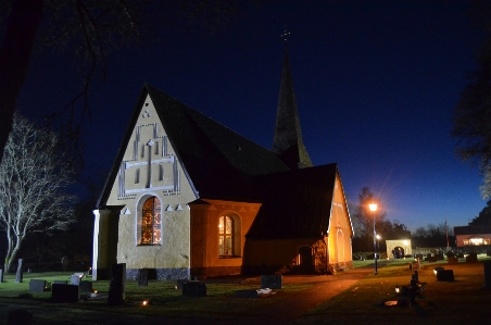 Zdjęcie Drzewo zima architektura niebo