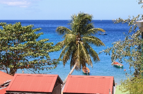 Beach landscape sea coast Photo