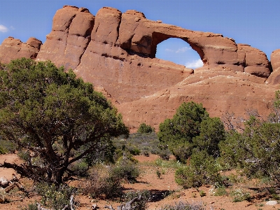 Landscape tree nature rock Photo