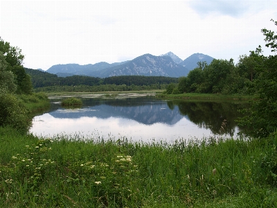 Landscape tree water nature Photo