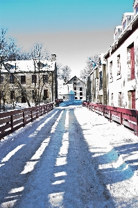 木 雪 冬 建築 写真