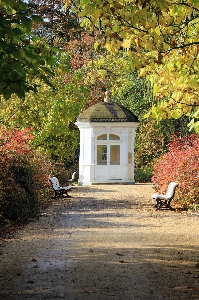 Landschaft baum natur weg Foto