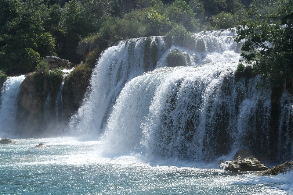 Albero acqua natura cascata