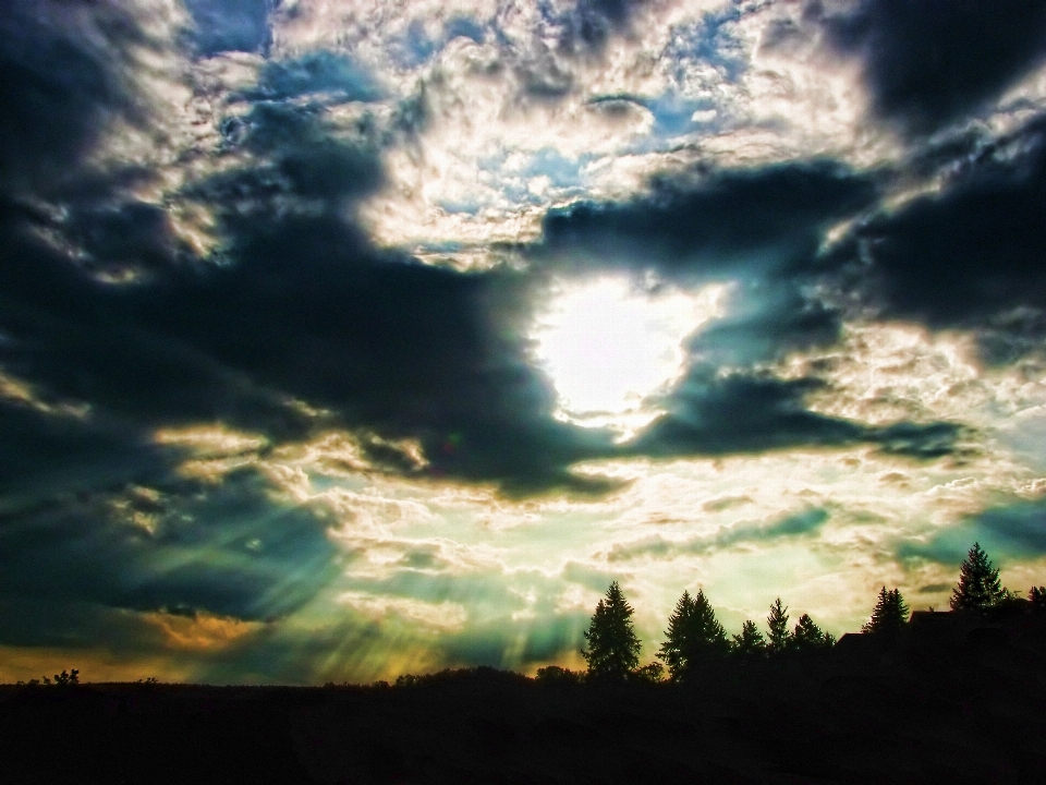 Paysage arbre nature horizon