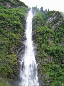 Landscape tree water nature Photo