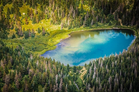 Zdjęcie Krajobraz drzewo woda natura