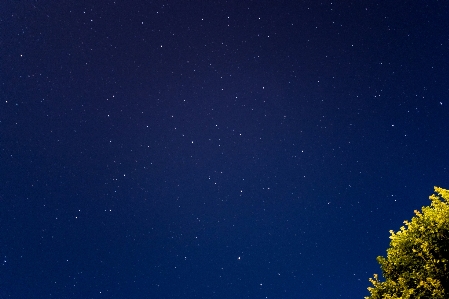 Tree nature sky night Photo