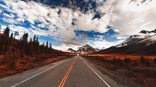 Foto Paisagem árvore natureza caminho