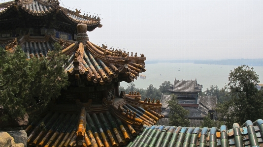 木 建築 空 屋根 写真