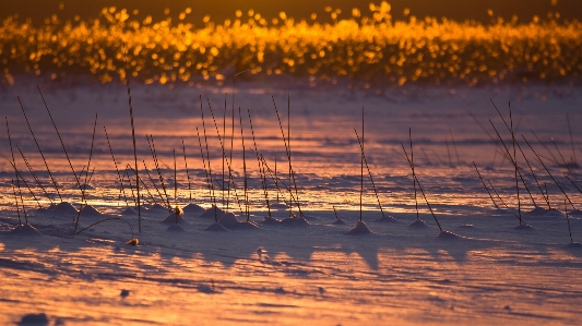 Water nature horizon snow Photo