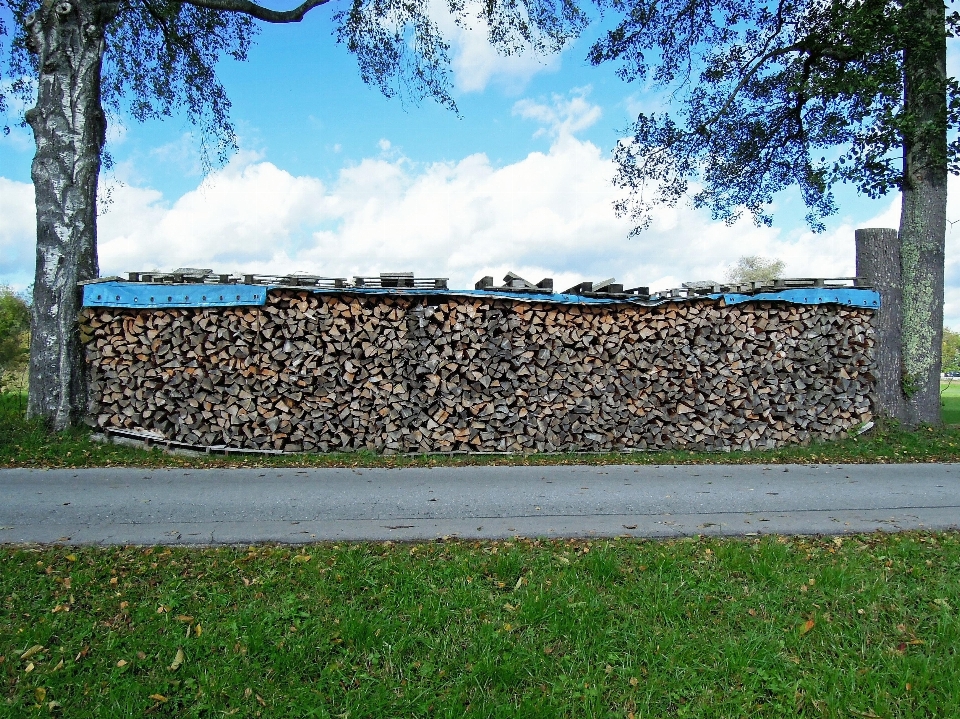 Lanskap pohon rumput pagar