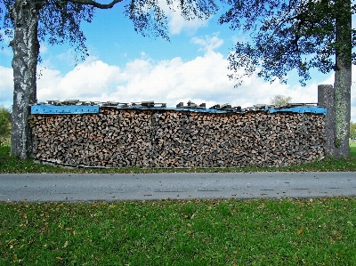 Landscape tree grass fence Photo