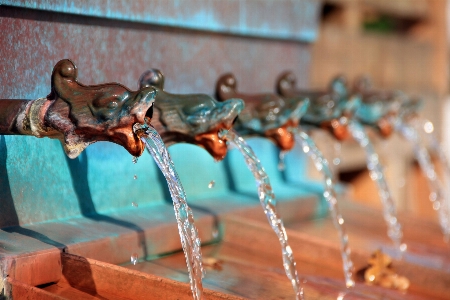 水 噴水
 ガーゴイル 噴水 写真