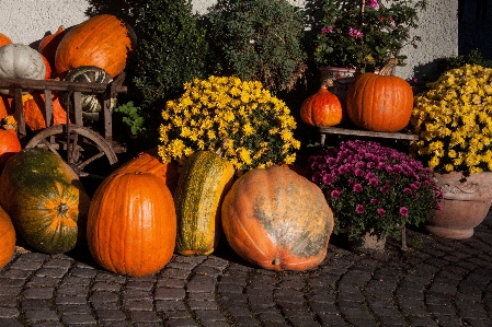 Anlage wagen frucht dekoration Foto