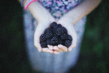 Hand berry blackberry Photo