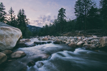 Landscape tree water nature Photo