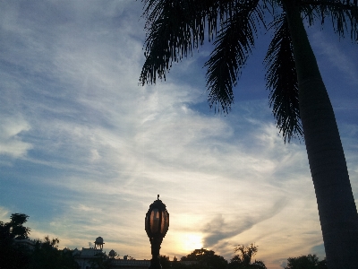 Foto Langit awan pohon tanaman berkayu
