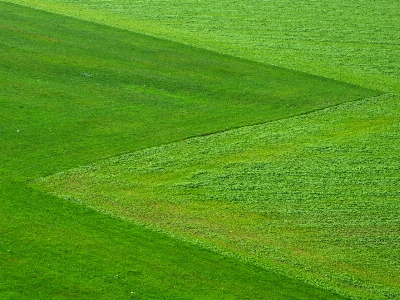 風景 自然 草 空 写真