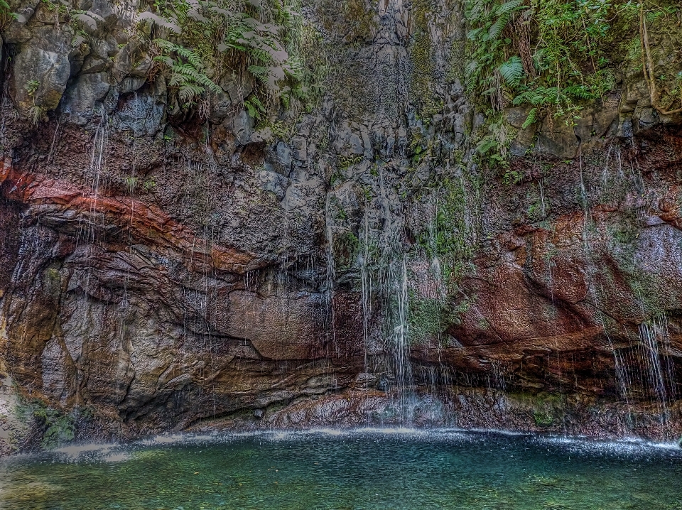 Paysage arbre eau nature