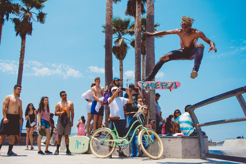 Albero acqua bicicletta vacanza