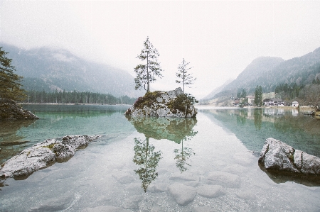 Landscape tree water mountain Photo