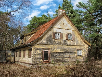 Tree wood countryside house Photo