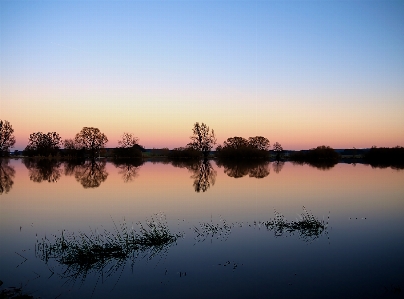 Landscape tree water nature Photo