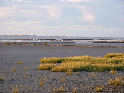 Beach landscape sea coast Photo