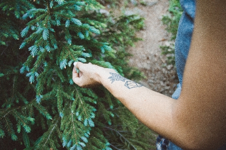 Hand tree nature grass Photo