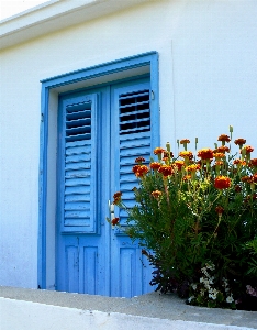 Foto Casa fiore finestra parete