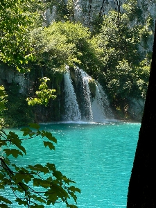 Landscape tree water nature Photo