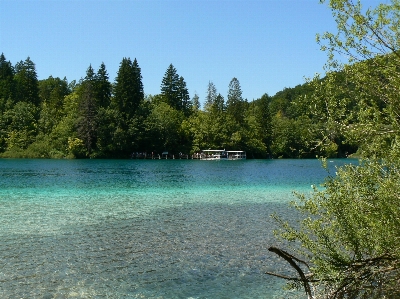 Landscape coast tree water Photo