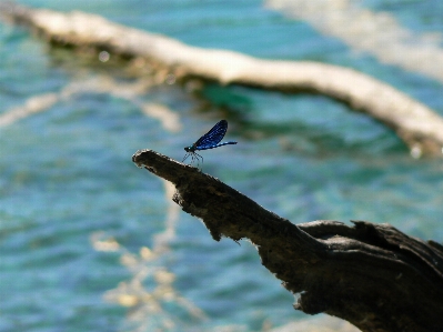 Sea water nature sky Photo