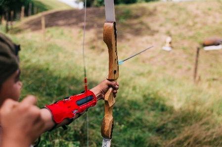 Tree grass recreation archery Photo