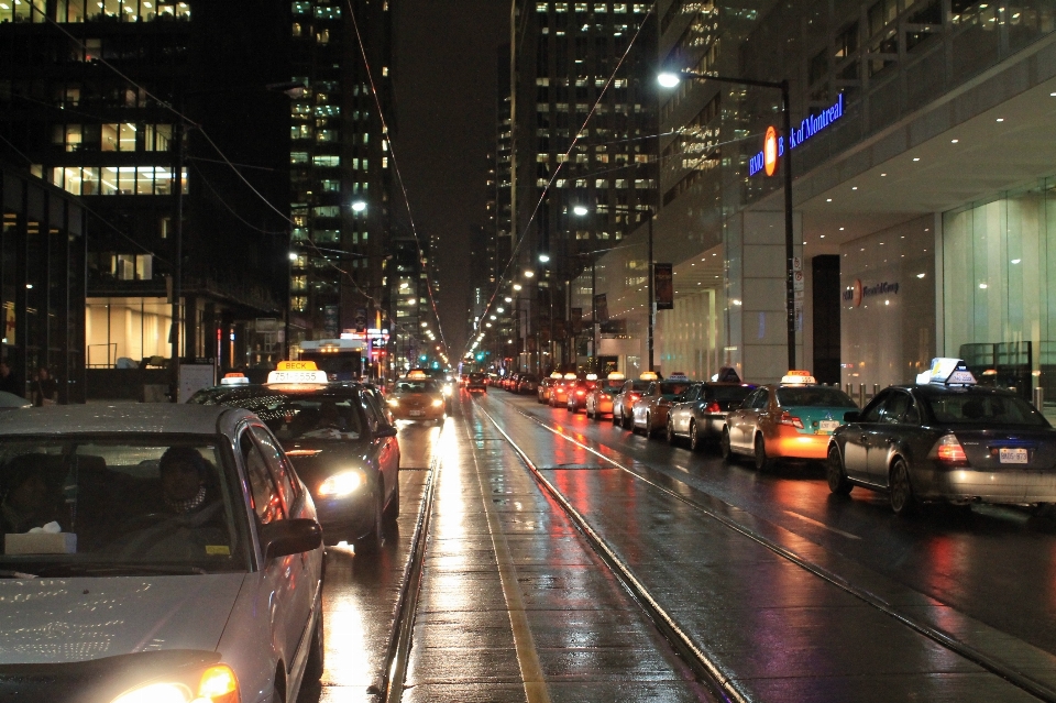 Tree light road traffic