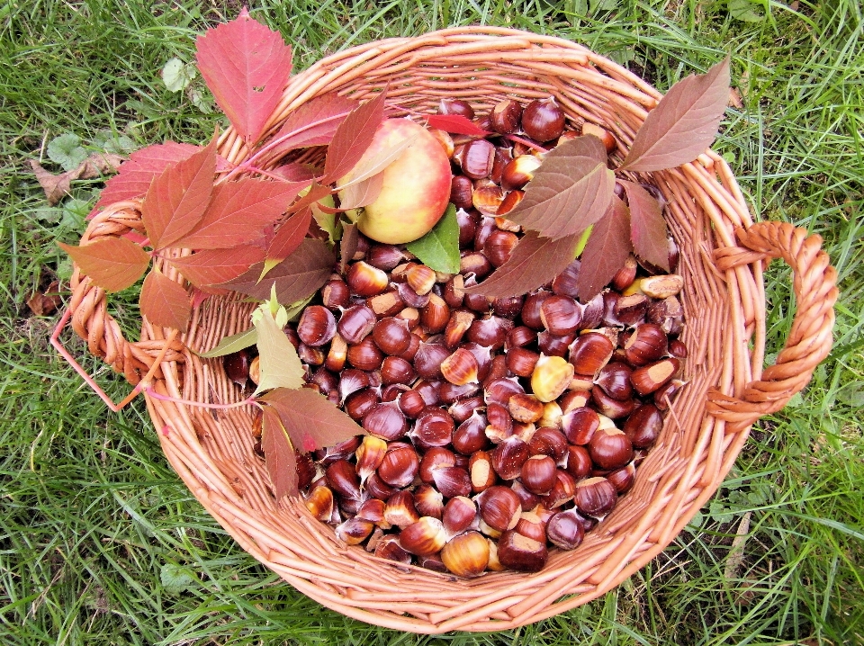 Vine fruit fall decoration