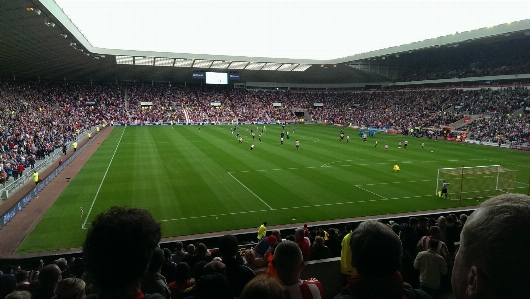 Grass structure plant sport Photo