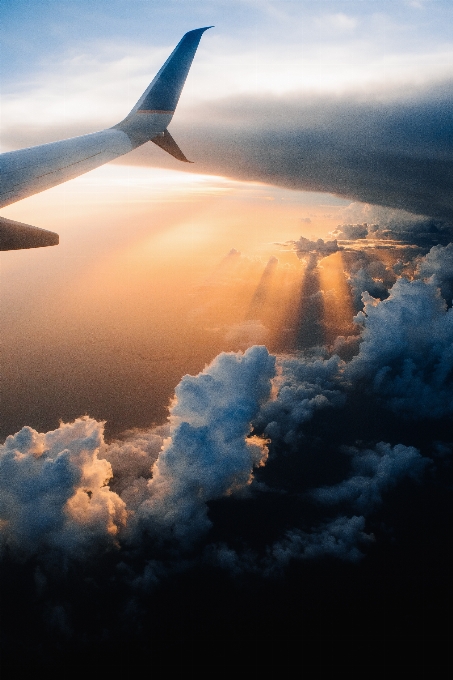 Horizon wing cloud sky