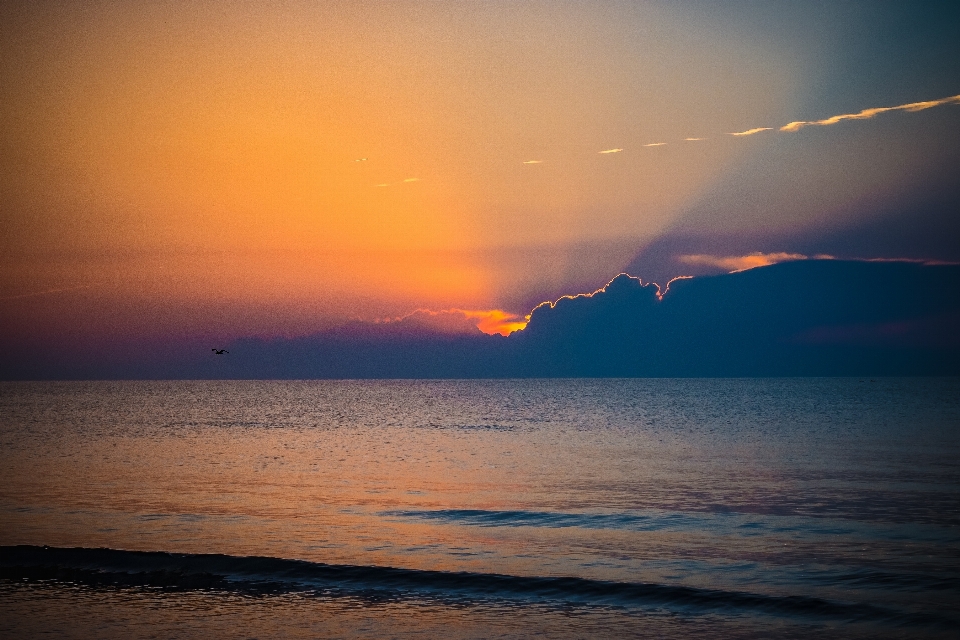 海滩 海 海岸 水