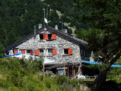 Ağaç bitki gökyüzü doğa yürüyüşü
 Fotoğraf