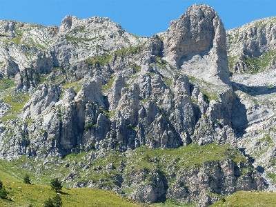 Landscape tree grass rock Photo