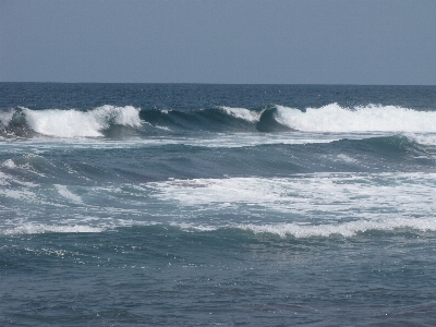 Beach sea coast water Photo