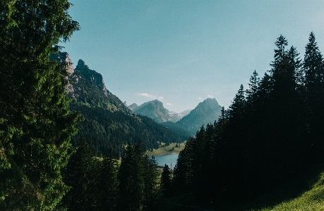 Landschaft baum natur wald Foto