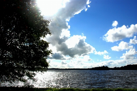 Foto Lanskap laut pohon air