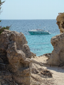 Beach sea coast tree Photo