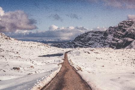 Landscape tree horizon mountain Photo