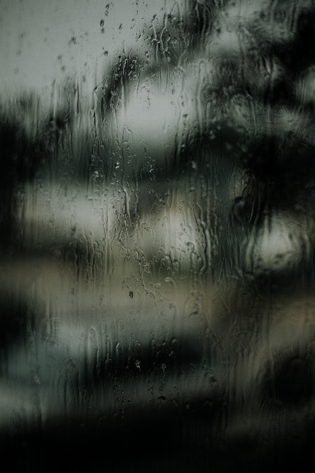 Albero acqua bianco e nero
 cielo