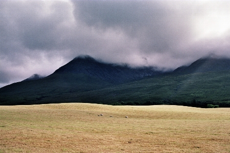 Landscape tree grass wilderness Photo