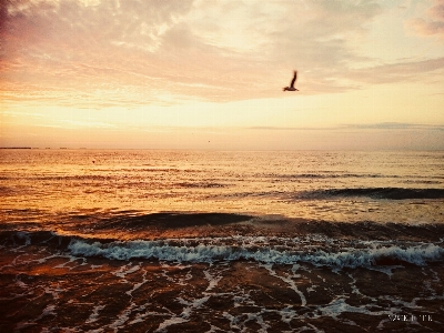 Beach sea coast water Photo