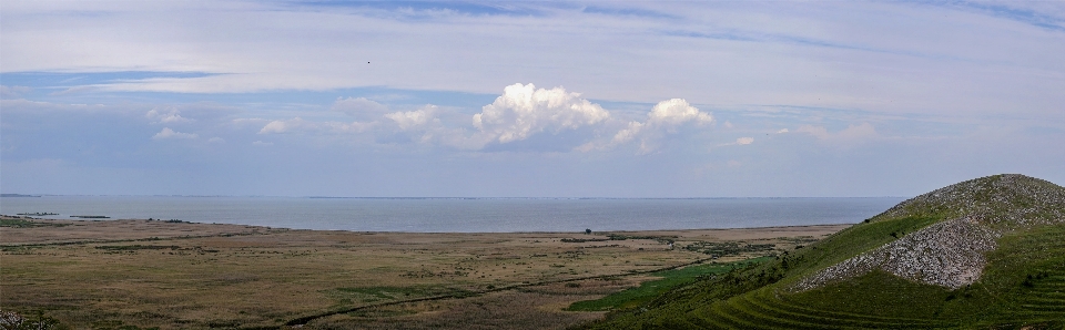 Landscape sea coast tree